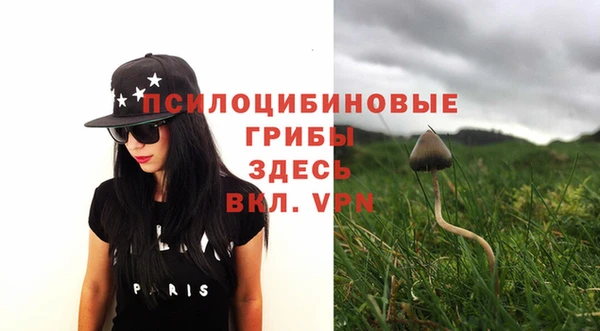эйфоретик Белоозёрский