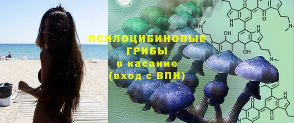 ГАЛЛЮЦИНОГЕННЫЕ ГРИБЫ Беломорск