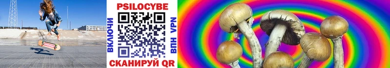 Псилоцибиновые грибы Magic Shrooms Бородино